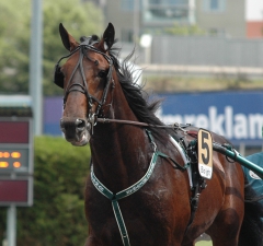 Foto: Annika Lindblom, Travkompaniet
